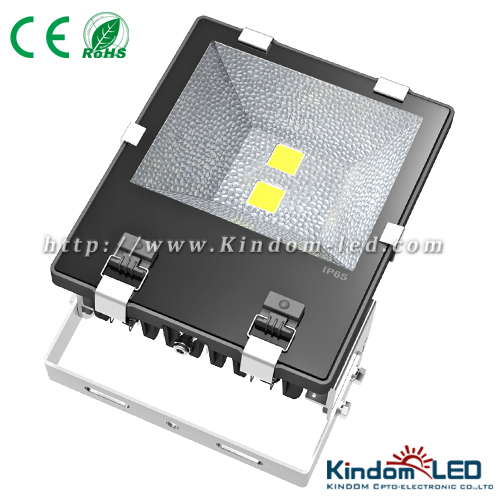 KD-FLCOB-100W-C 