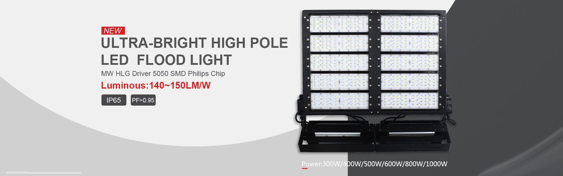 LED Flood Light